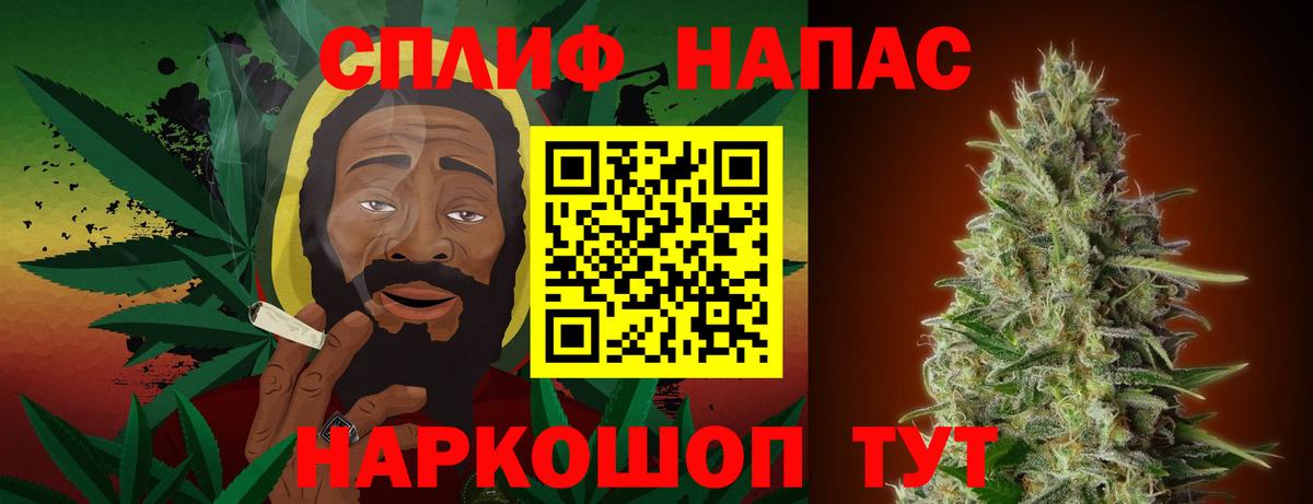 Конопля OG Kush Саранск